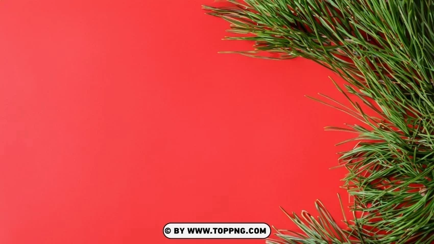 Merry Christmas Pine Branches Red & Green Background PNG images with transparent overlay