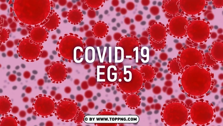 New variant EG5 COVID 19 Banner Clipart Transparent PNG images for digital art - Image ID 970c7b17