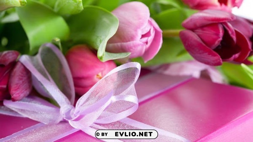 pink tulips and gift PNG Graphic with Clear Isolation