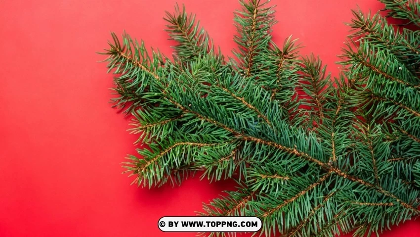 Red & Green Christmas Décor Wallpaper PNG images with transparent layering