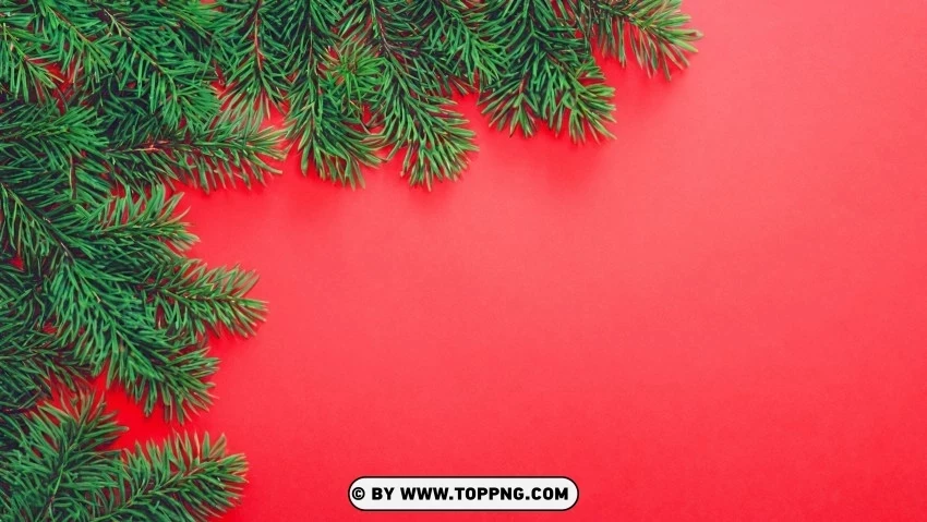 Seasonal Background Christmas Red & Green Pine Branches PNG images with transparent canvas comprehensive compilation