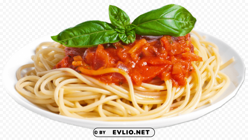 spaghetti Transparent Background PNG Isolated Design PNG images with transparent backgrounds - Image ID 48c99766
