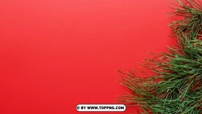 Traditional Christmas Theme Red & Green Pine Branches PNG images without BG