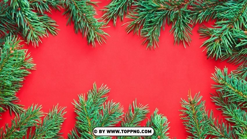 Vibrant Christmas Wallpaper Red & Green Pine Branches PNG images with transparent canvas assortment