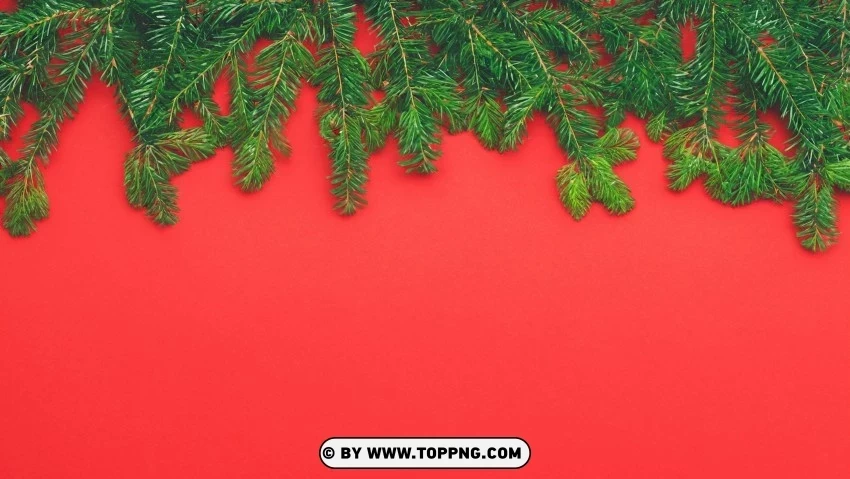 Yuletide Joy Background Red & Green Pine Branches Isolated Graphic Element in Transparent PNG