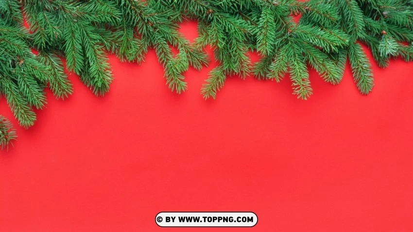 Yuletide Spirit Wallpaper Red & Green Pine Branches Isolated Element with Clear PNG Background - Image ID 2afc08d7