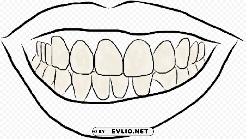 outline image of teeth Isolated Character in Clear Transparent PNG