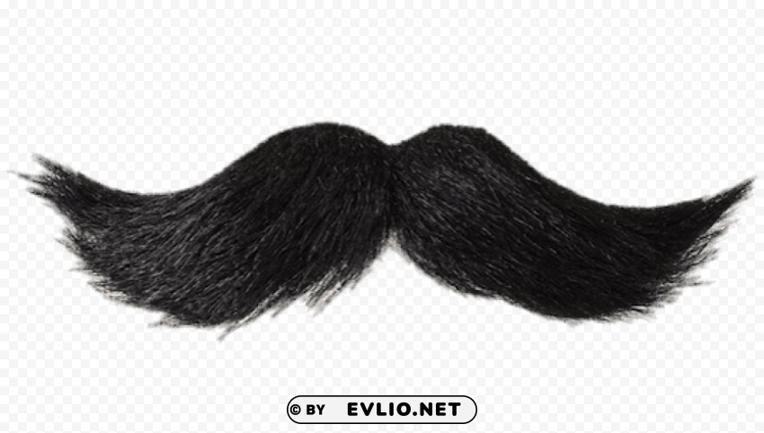 mustache black Isolated Character in Transparent PNG