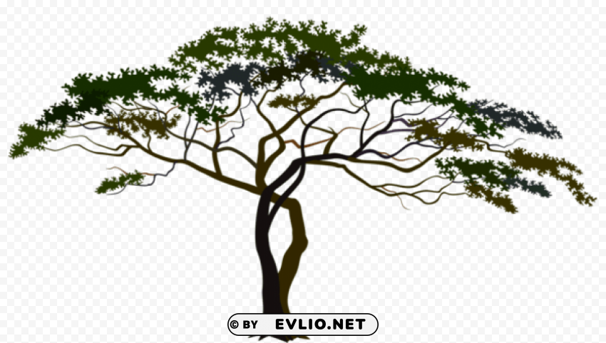 savannah tree Isolated Artwork on Clear Transparent PNG