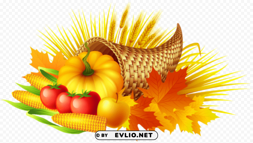 thanksgiving cornucopia Transparent PNG image