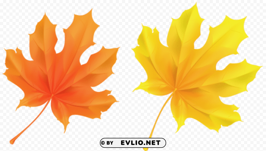 transparent yellow and orange leaves picture PNG images with clear alpha layer