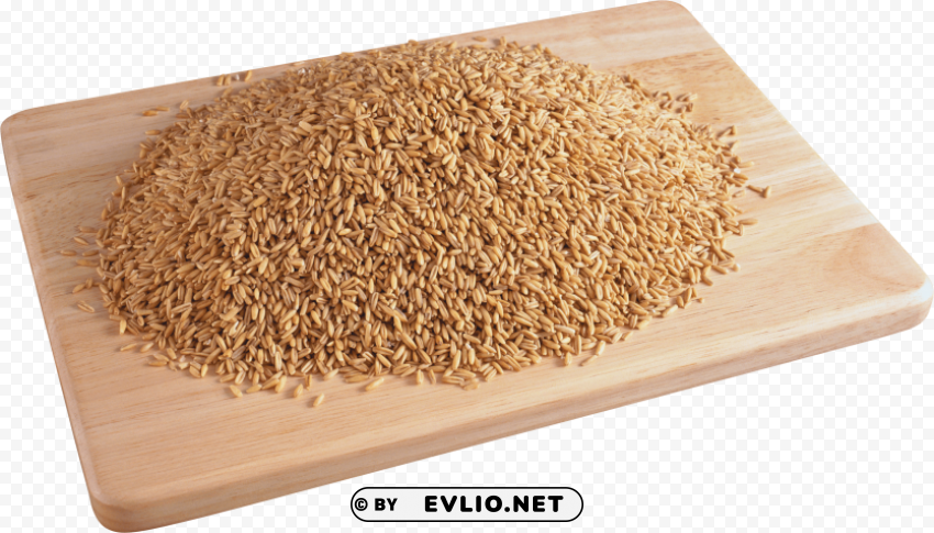 wheat Transparent PNG Artwork with Isolated Subject