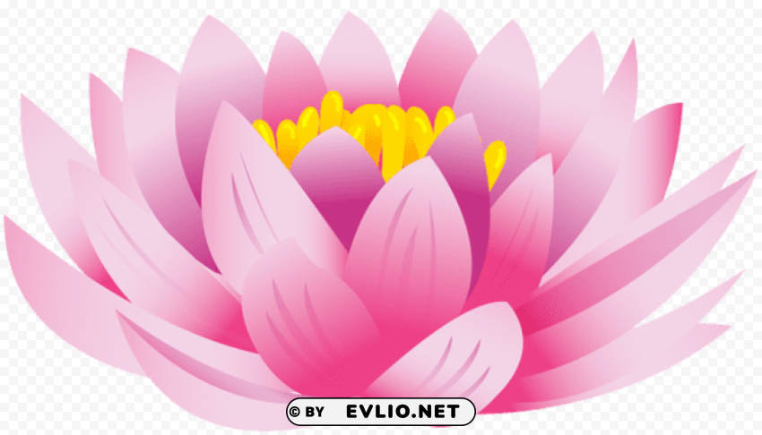 lotus flower PNG images for graphic design