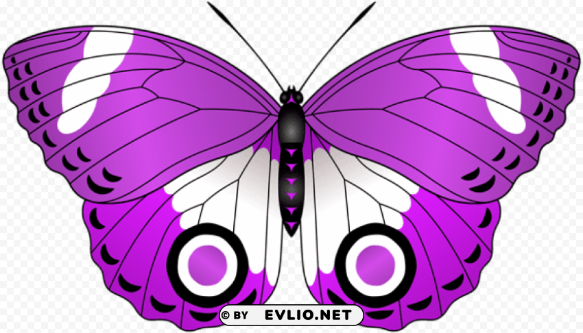 purple butterfly transparent PNG images with no background assortment clipart png photo - 740cfe8e