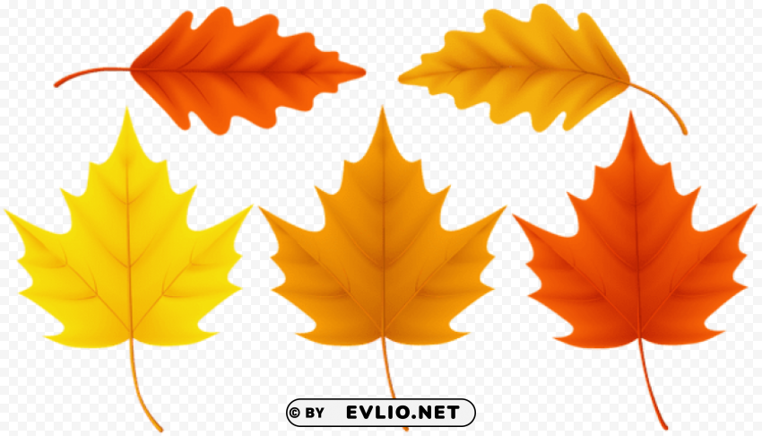 set fall leaves PNG Image with Transparent Isolated Graphic Element