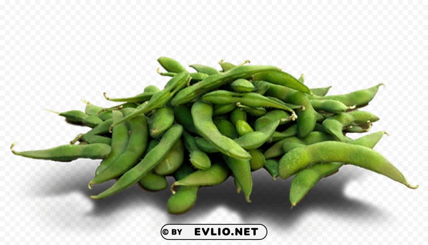 edamame pic PNG graphics with alpha transparency bundle