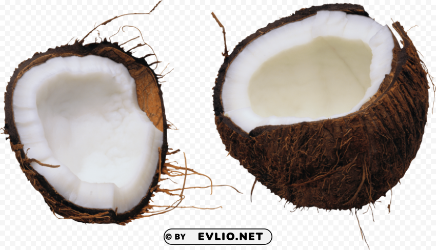 coconut Transparent PNG art PNG images with transparent backgrounds - Image ID 07086b05