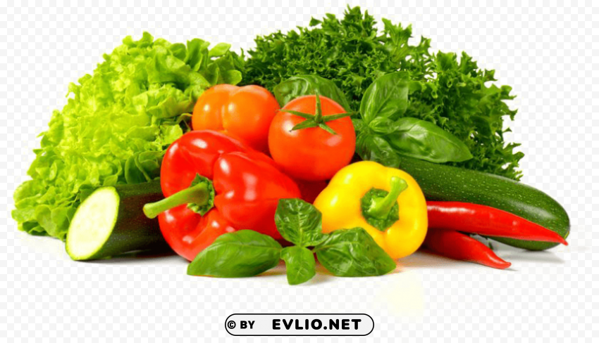 vegetables name Transparent Background Isolation in PNG Image
