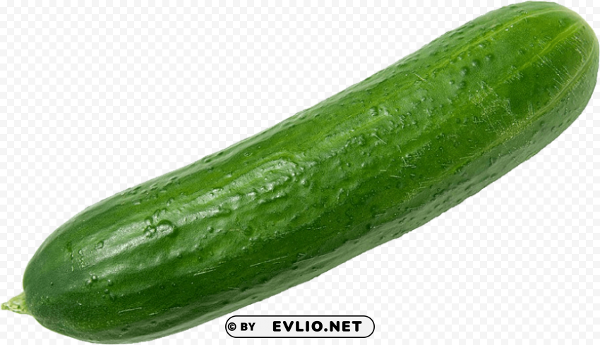 Transparent cucumbers PNG for use PNG background - Image ID 2d1426ef