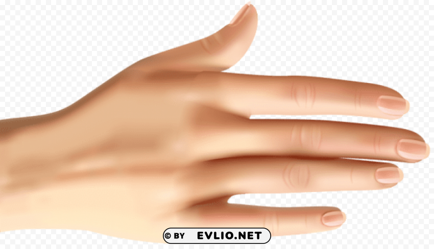 Hand PNG Files With Clear Backdrop Assortment