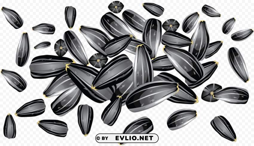 sunflower seeds Clean Background Isolated PNG Icon clipart png photo - c34672ec