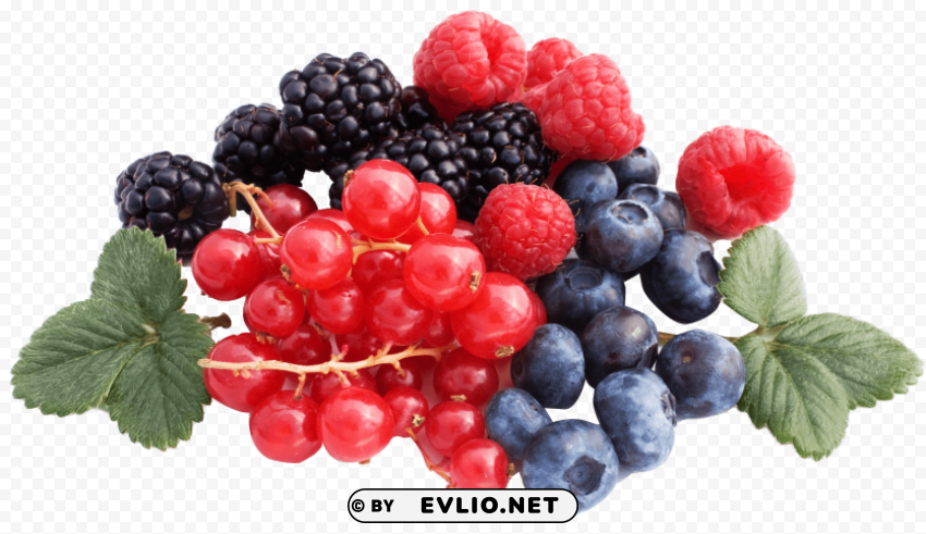 Berries PNG isolated
