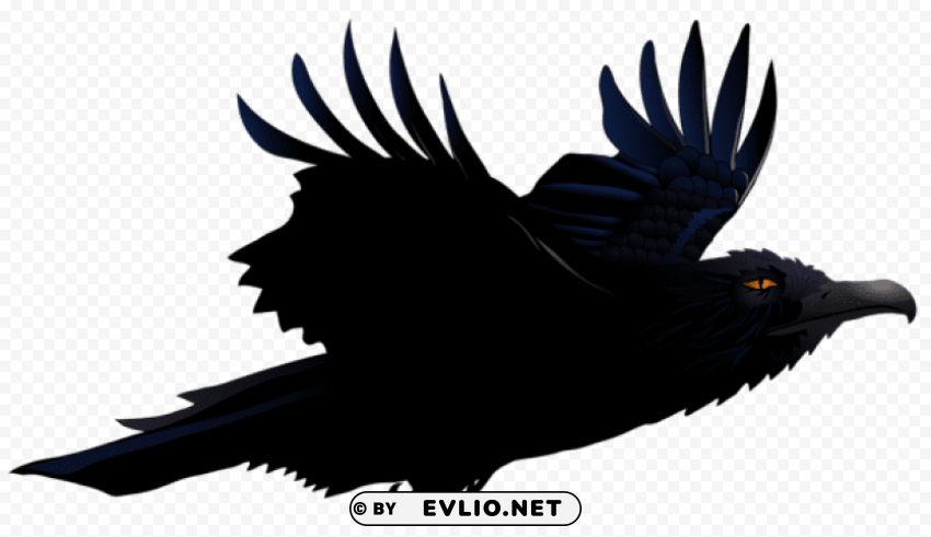 raven vectorpicture Transparent Background Isolated PNG Art