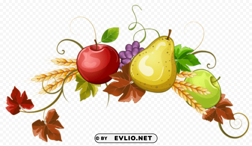 autumn fruits decoration PNG Graphic Isolated with Clarity