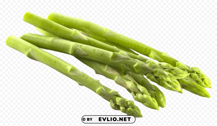 asparagus Clean Background Isolated PNG Character