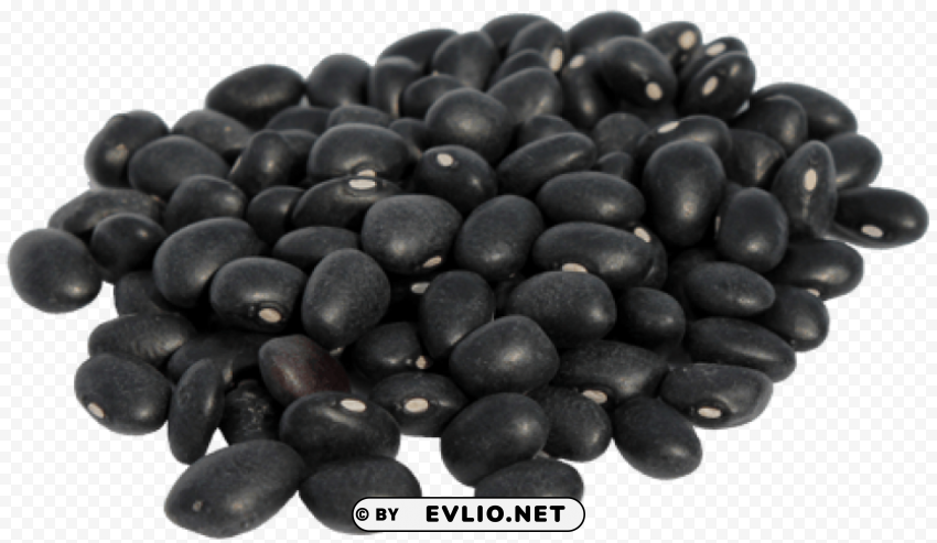 black beans Isolated Illustration in HighQuality Transparent PNG