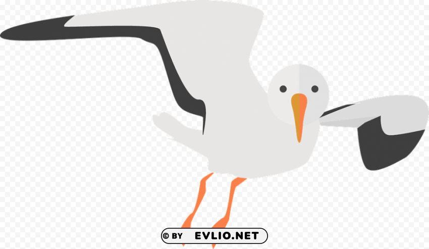gull PNG with Clear Isolation on Transparent Background png images background - Image ID d45e49a1