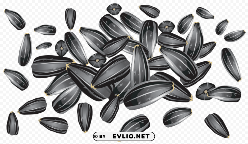 sunflower seeds Clean Background Isolated PNG Character