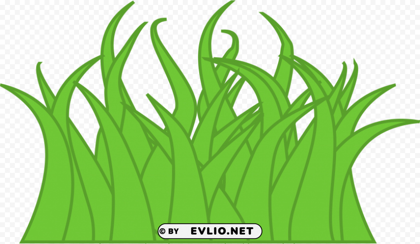 images of grass Isolated Artwork on Transparent Background