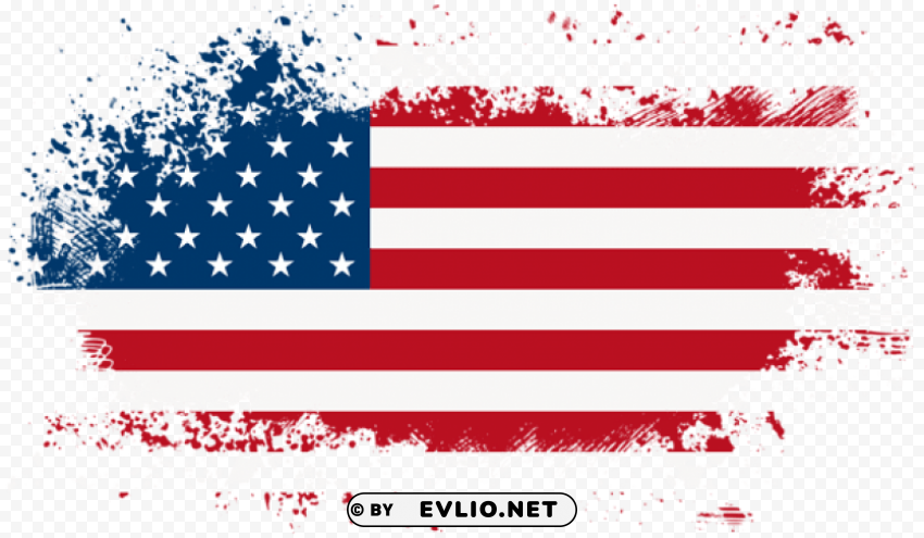 america flag Isolated Design in Transparent Background PNG