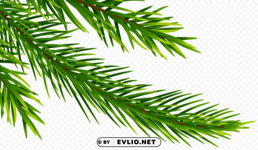 corner pine branch Isolated Graphic on HighQuality PNG PNG Images 2159131d