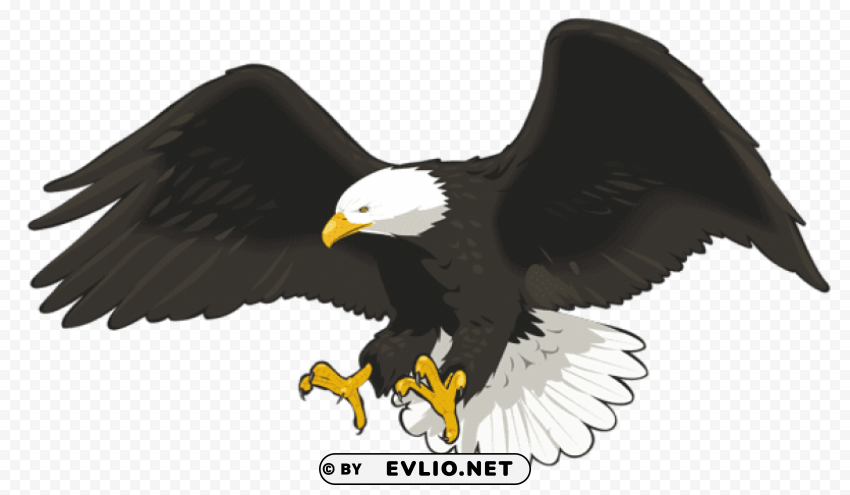 eagle HighResolution Isolated PNG Image