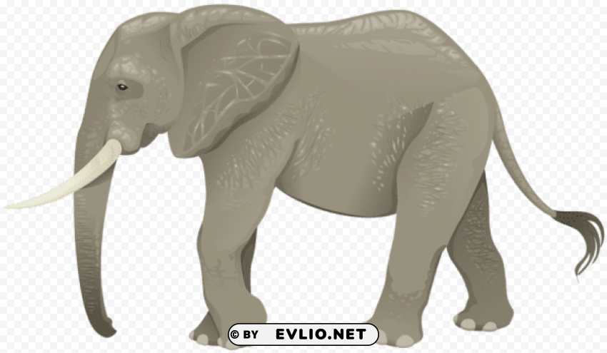 Elephant Transparent PNG Format With No Background
