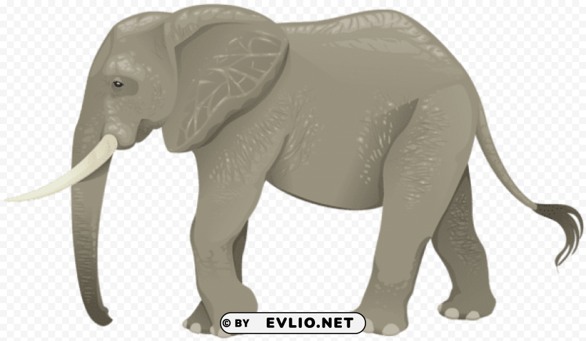 elephant transparent PNG format with no background