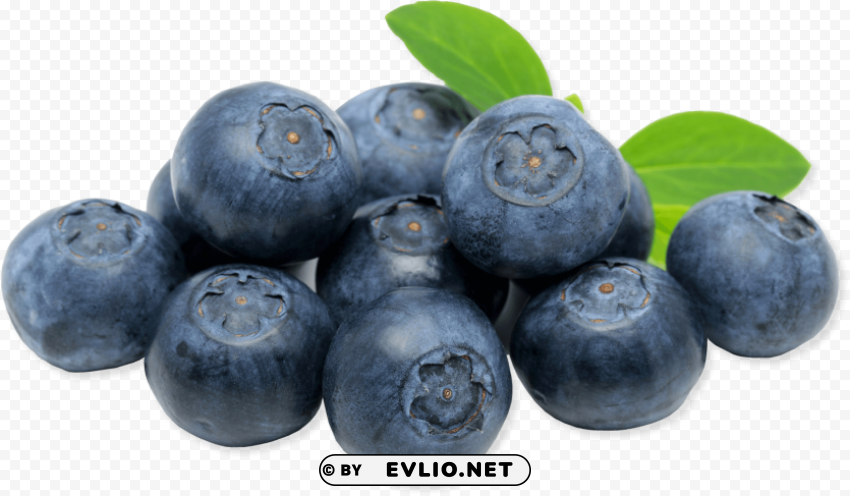 blueberry PNG transparent backgrounds