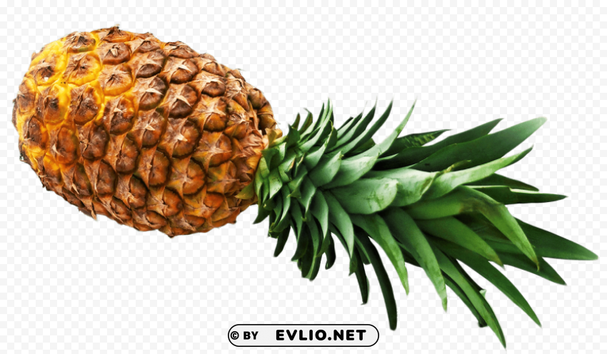 pineapple Isolated Object on Transparent PNG