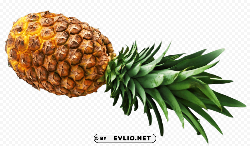 Pineapple Isolated Object On Transparent PNG