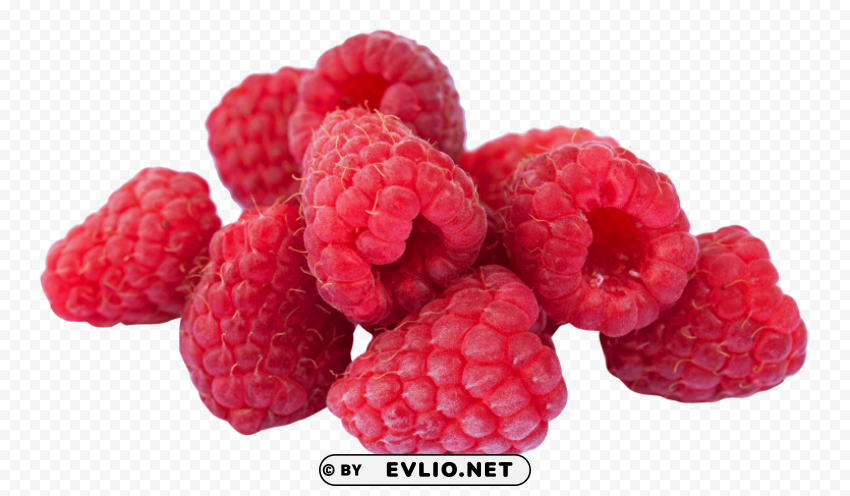 Raspberry Isolated Object on Transparent PNG