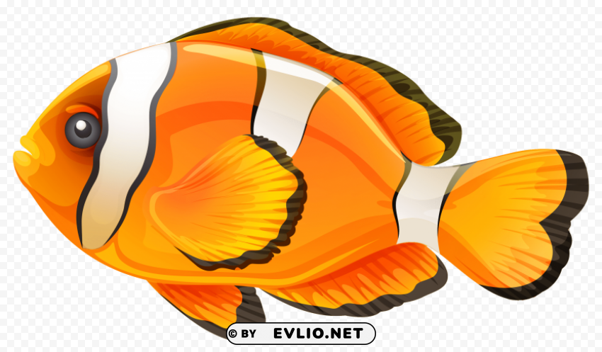 fish Isolated Object in HighQuality Transparent PNG