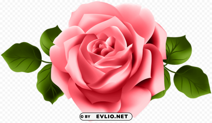 Red Rose Images In PNG Format With Transparency