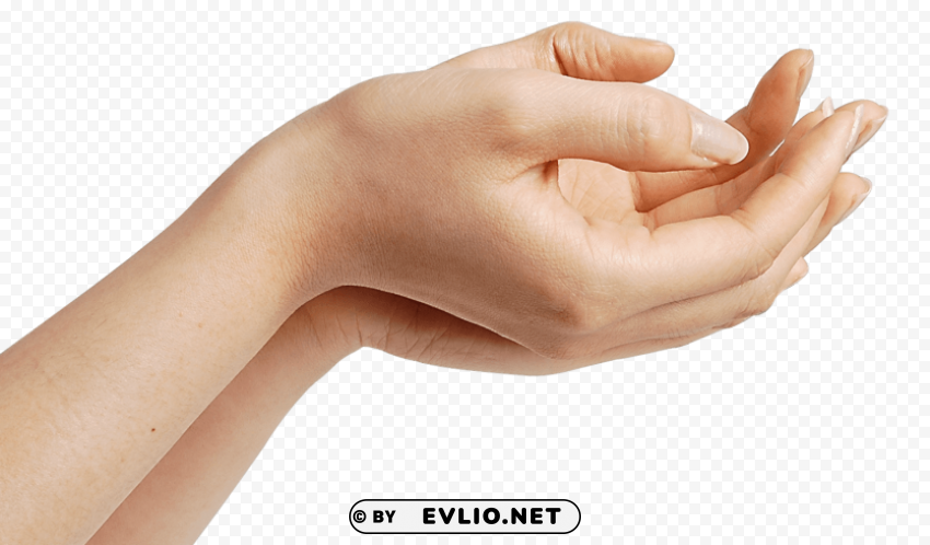hands waiting PNG Graphic Isolated on Clear Backdrop
