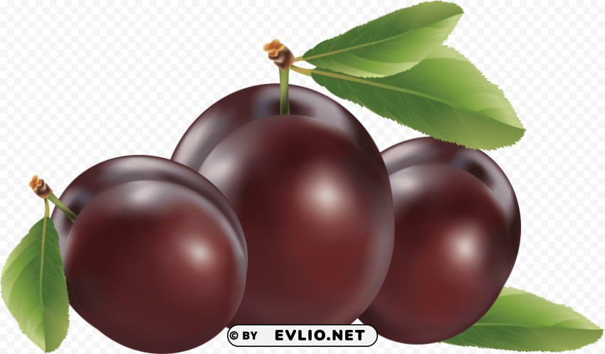 plum High-resolution PNG clipart png photo - d5129333