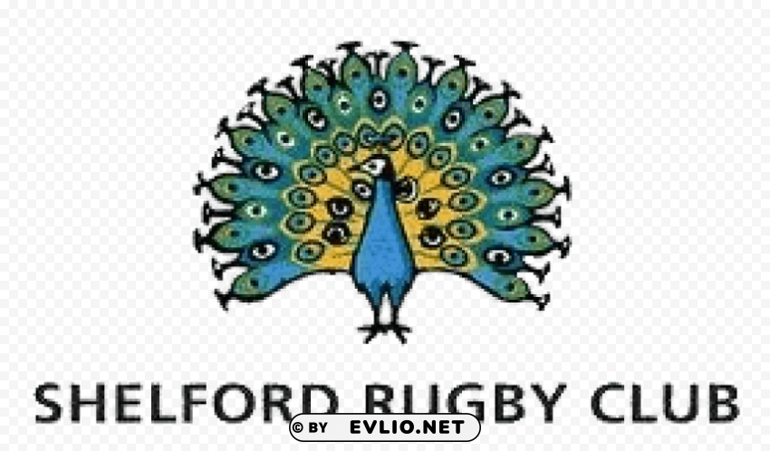PNG image of shelford rugby logo PNG Image with Isolated Transparency with a clear background - Image ID d7b85cd9