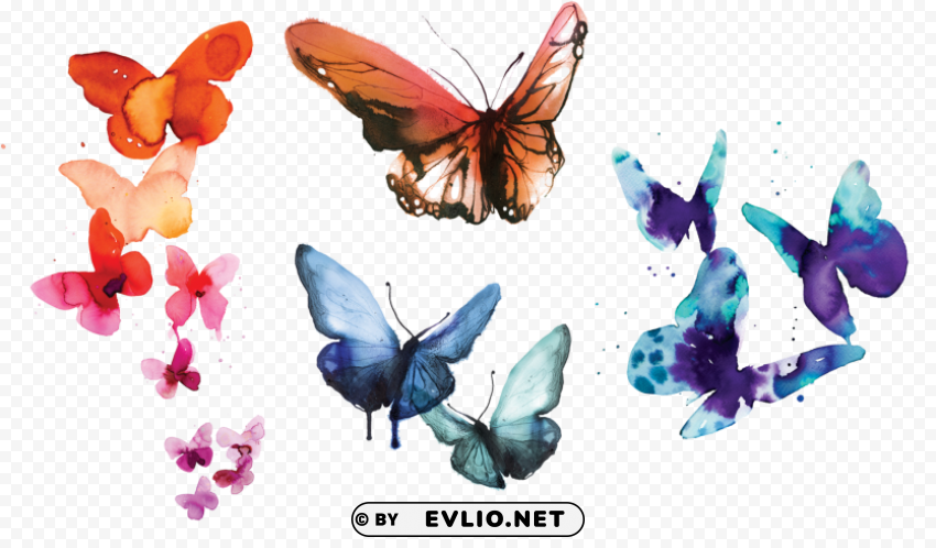 tattly temporary tattoos watercolor butterflies HighQuality PNG Isolated Illustration