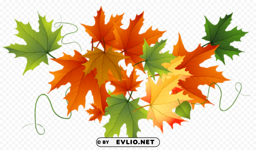 autumn transparent leaves PNG images with alpha transparency wide collection