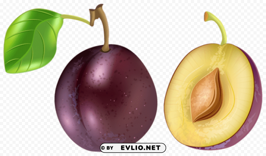 plum transparent PNG Graphic Isolated with Transparency
